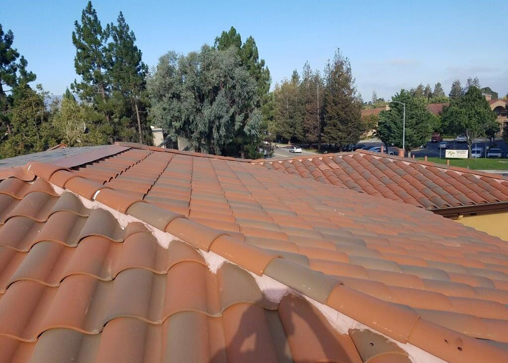 Buck's Roofing Hipped-Roof